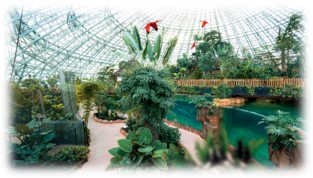 dome-equatorial